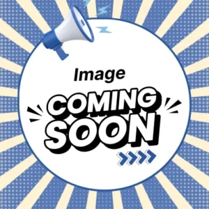 FIA World Rally Championship 2 - Disc Only - PS4 - Pre-Owned