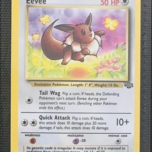 Eevee 51/64 Pokemon trading card - Jungle
