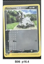 Pokemon TCG Card Bundle x5 - Combusken, Torchic, Poochyena + 2 more - Pre-Owned - Cards